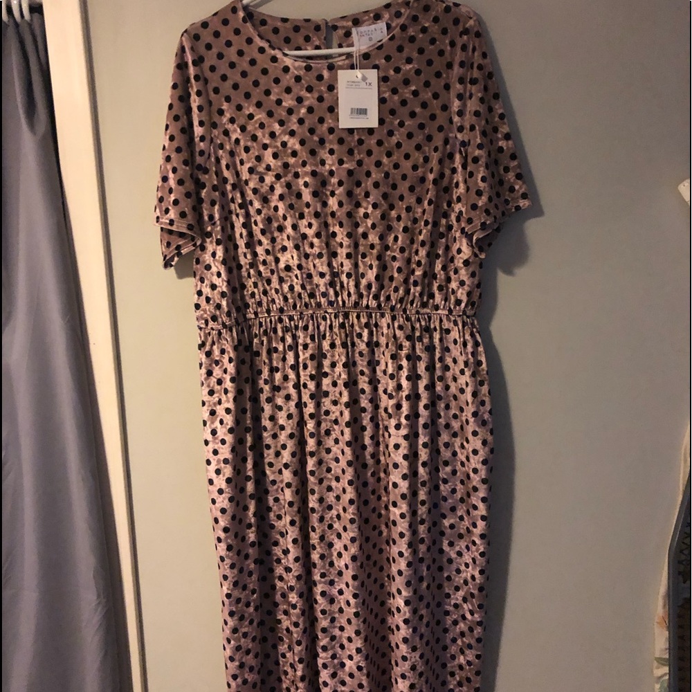 1X, polka dot midi dress.
